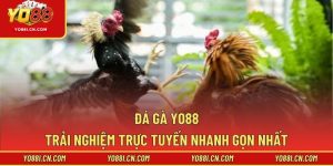 Đá Gà Yo88 – Trải Nghiệm Trực Tuyến Nhanh Gọn Nhất