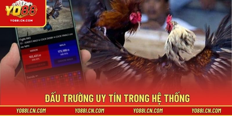 Đấu trường uy tín trong hệ thống