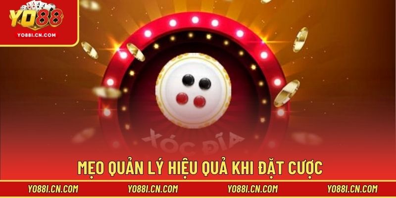 Mẹo quản lý hiệu quả khi đặt cược