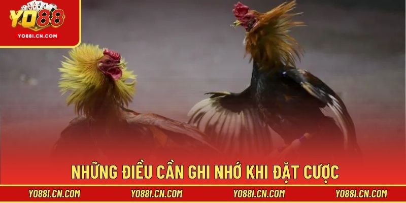 Những điều cần ghi nhớ khi đặt cược