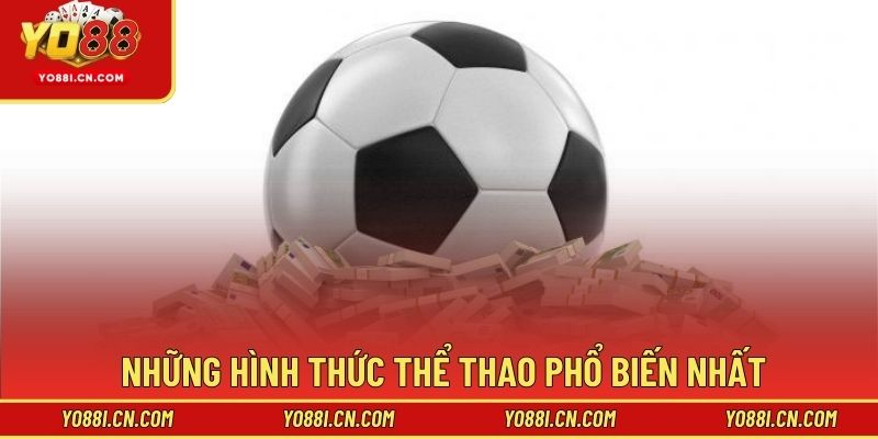 Những hình thức thể thao phổ biến nhất