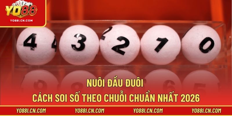 Nuôi Đầu Đuôi – Cách Soi Số Theo Chuỗi Chuẩn Nhất 2026
