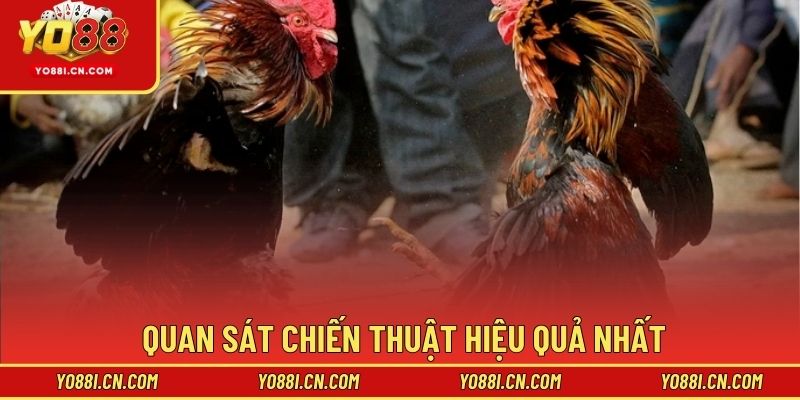 Quan sát chiến thuật hiệu quả nhất