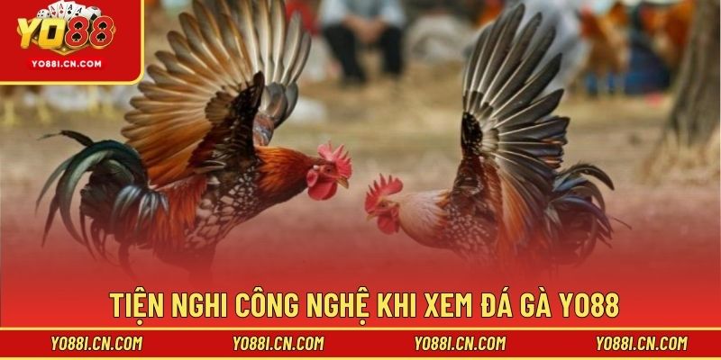 Tiện nghi công nghệ khi xem đá gà Yo88