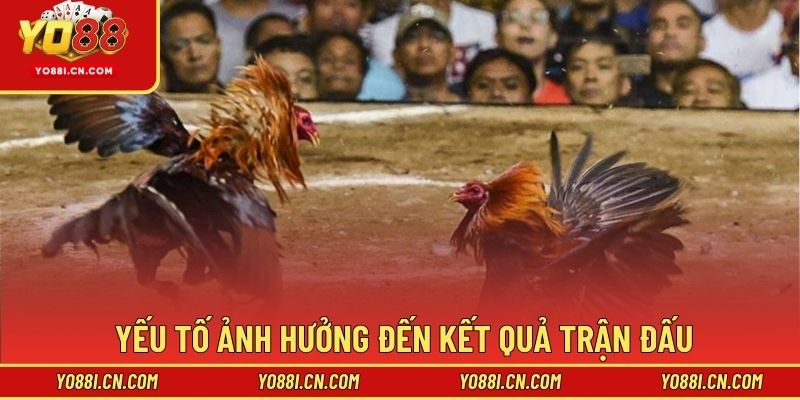 Yếu tố ảnh hưởng đến kết quả trận đấu